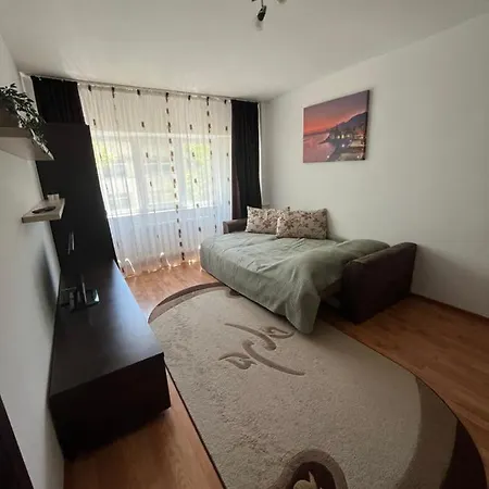 Apartament Ilinca *